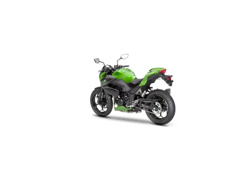 Kawasaki Z300 (3)
