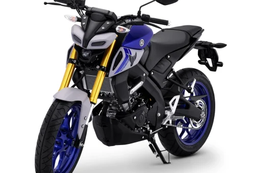Yamaha MT-15 (3)