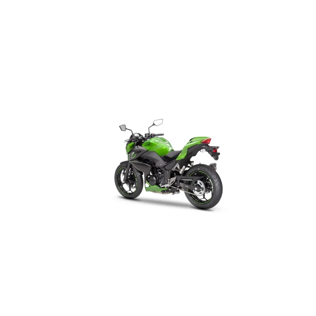 Kawasaki Z300 (3)